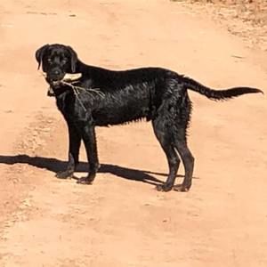 Meet your Posher, Kristopher